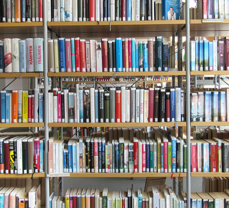 Bücherregal mit großer Medienauswahl Voll bestücktes Bücherregal in heller Bibliothek.